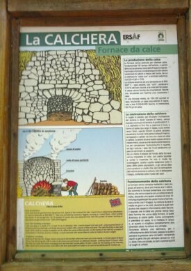 Dettaglio del sentiero nella Foresta Valsolda