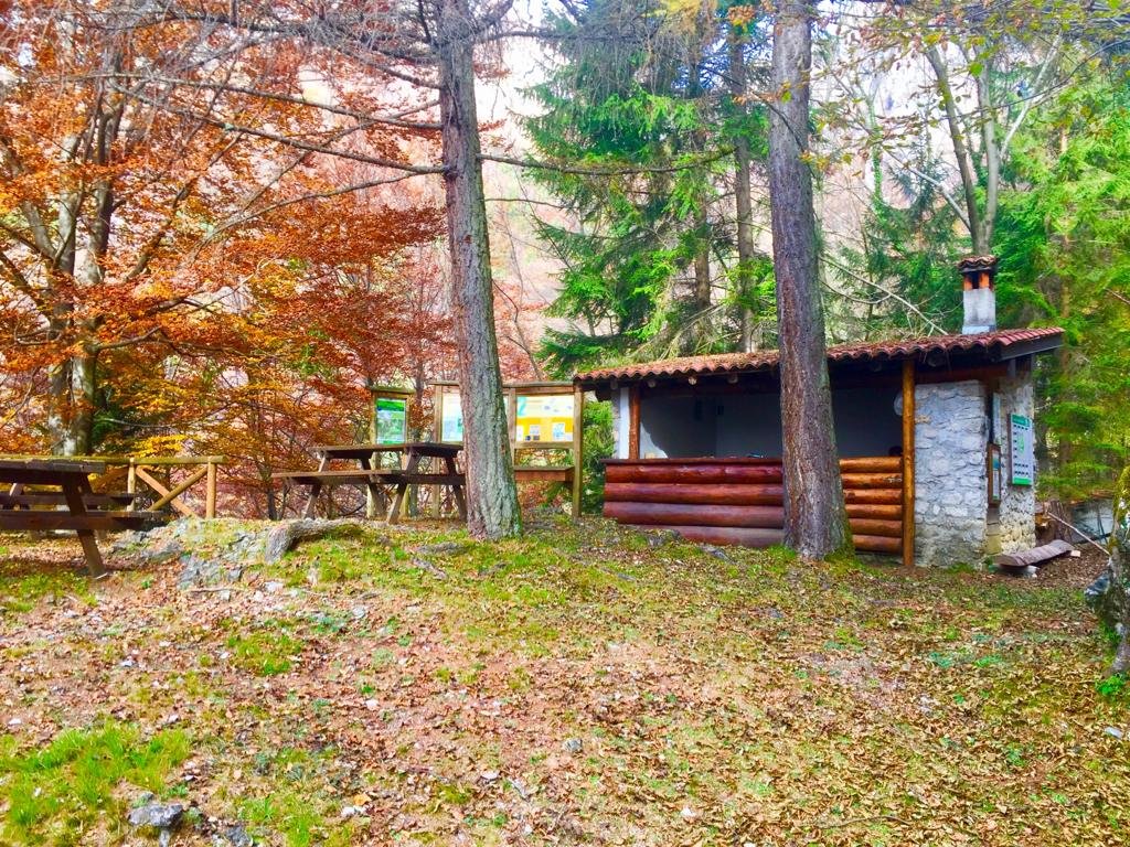 Vista panoramica della Foresta Regionale Valsolda con boschi e montagne