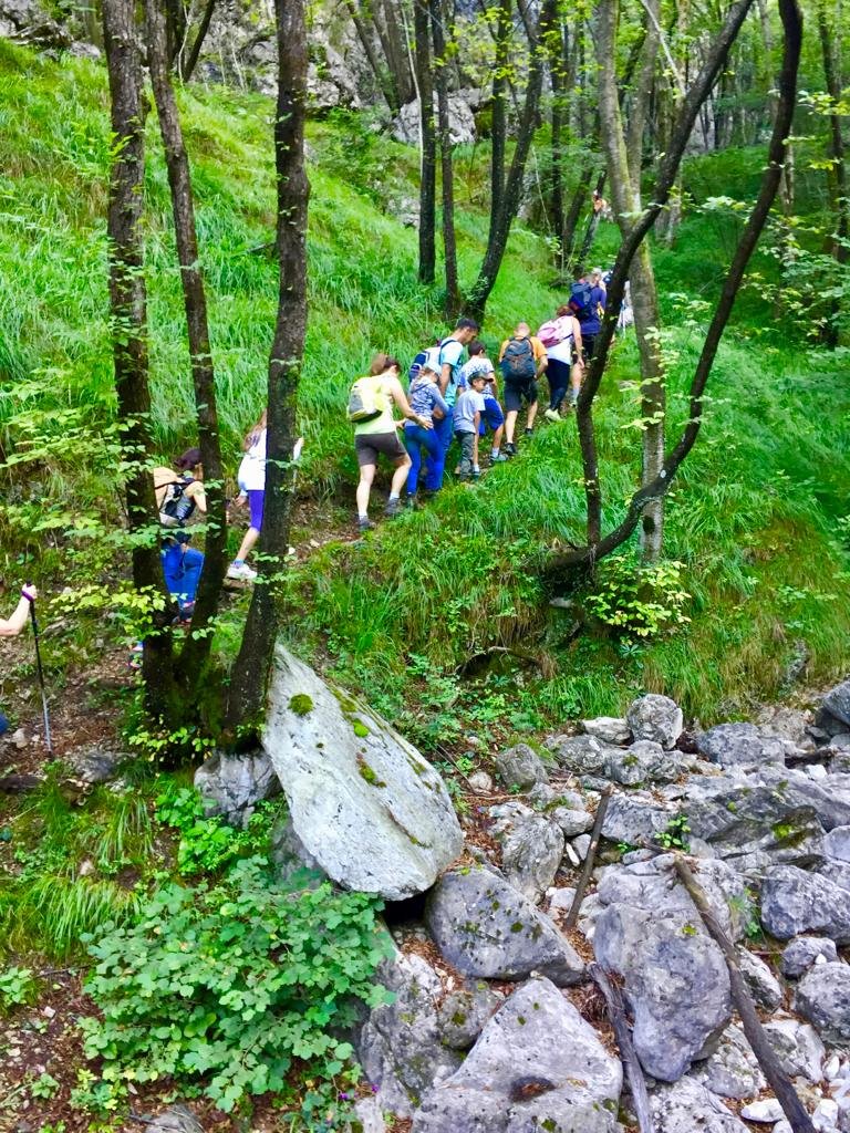 Biodiversità nella Foresta Regionale Valsolda
