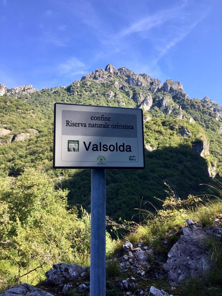 Bosco fitto nella Riserva Naturale Valsolda