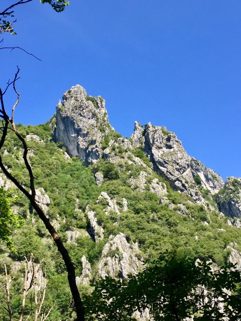 Sentiero escursionistico nella Foresta Regionale Valsolda