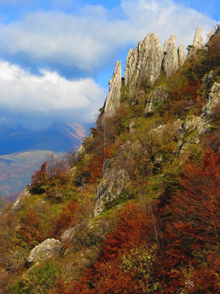 La valle del Soldo nella Foresta Regionale Valsolda