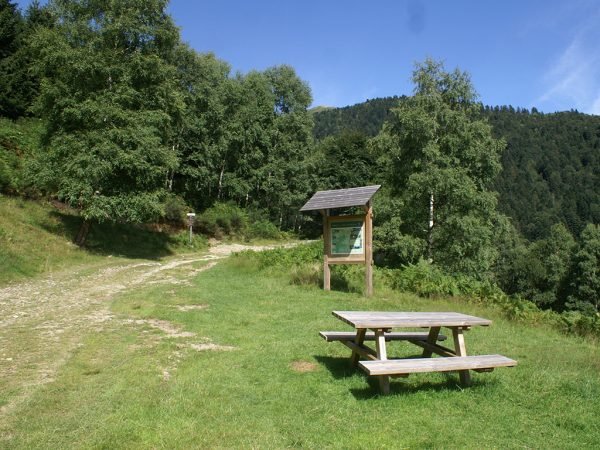 Sentiero immerso nella natura del Parco Valsanagra