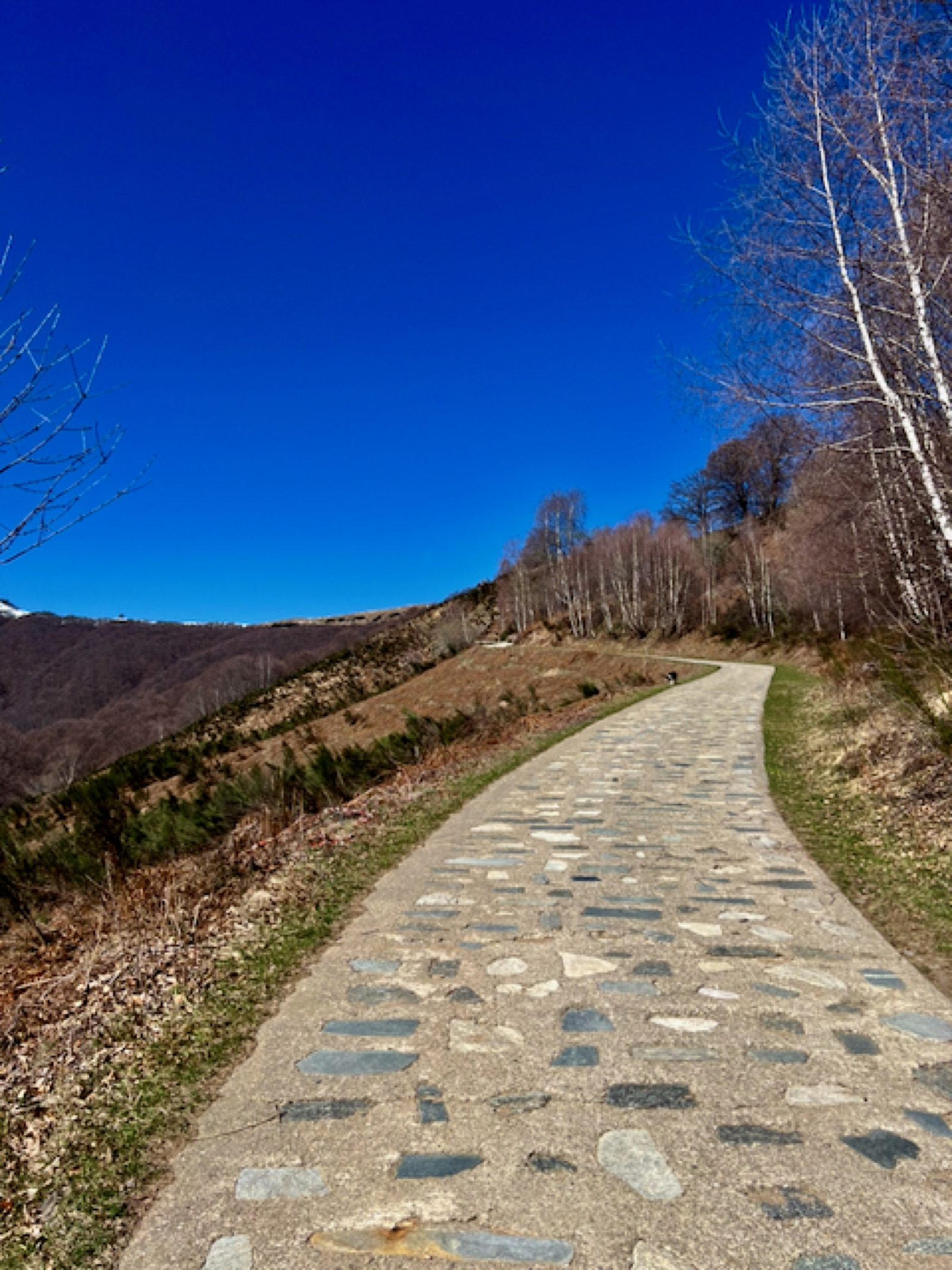 Sentiero di pietra in salita
