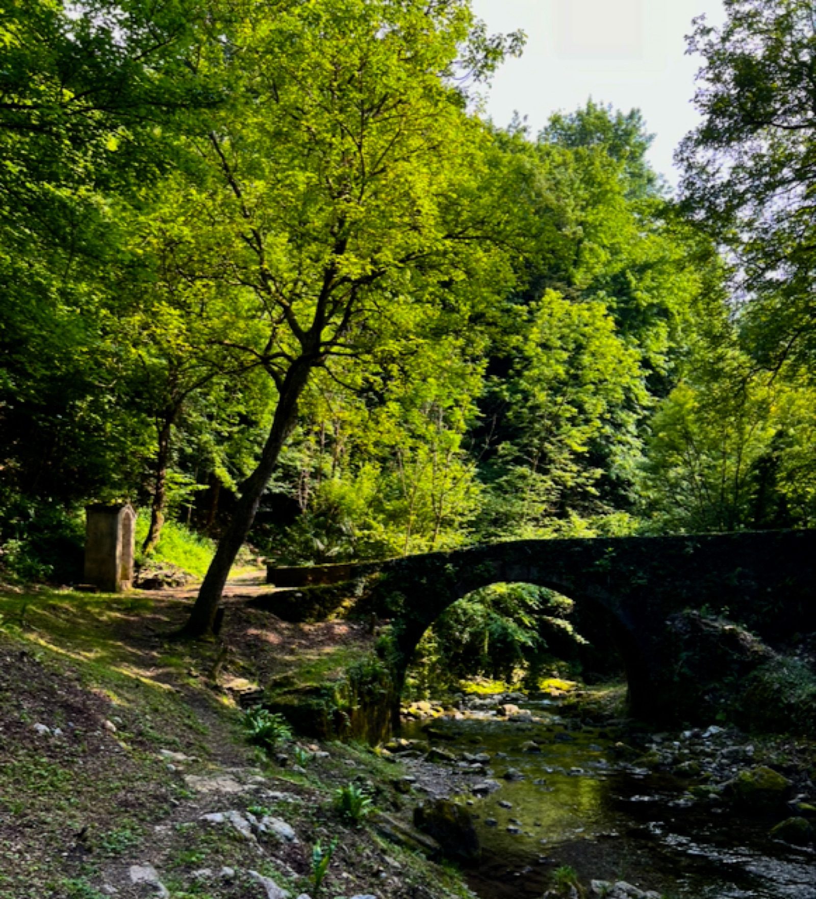 Ponte antico nel verde