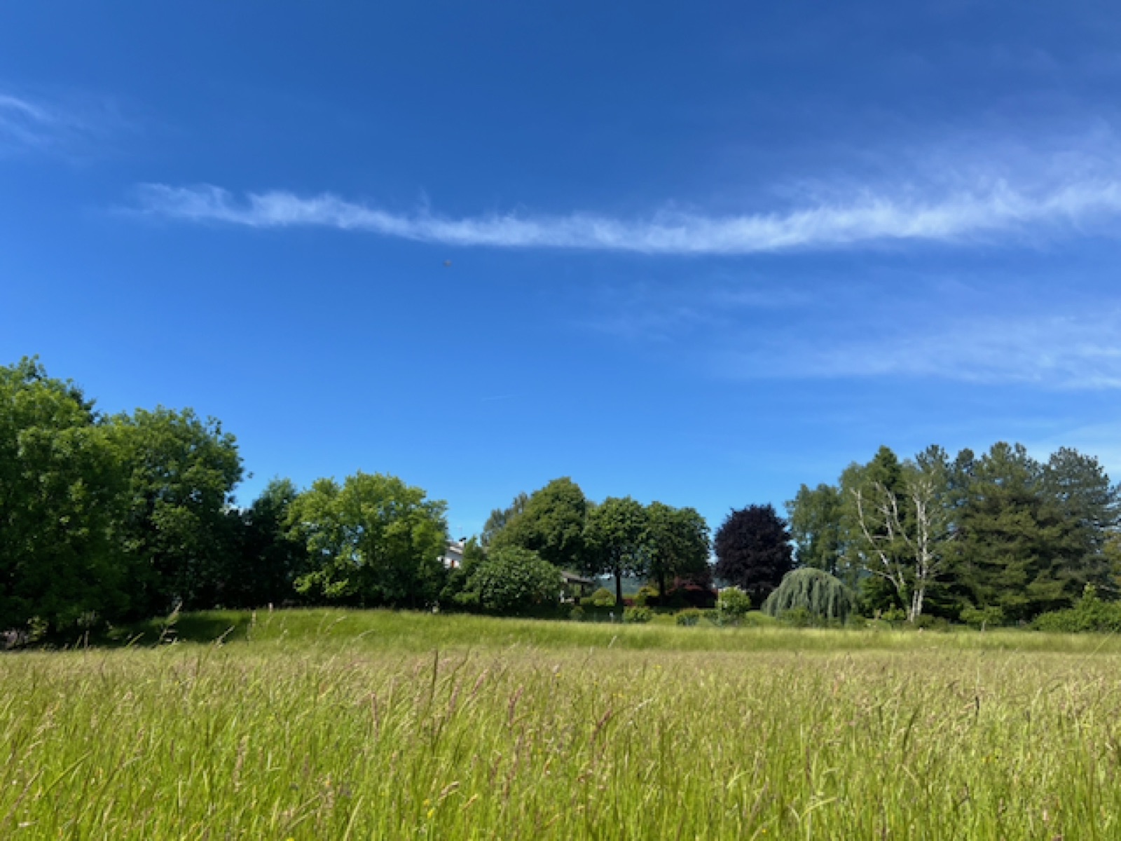 Prato aperto tra le valli