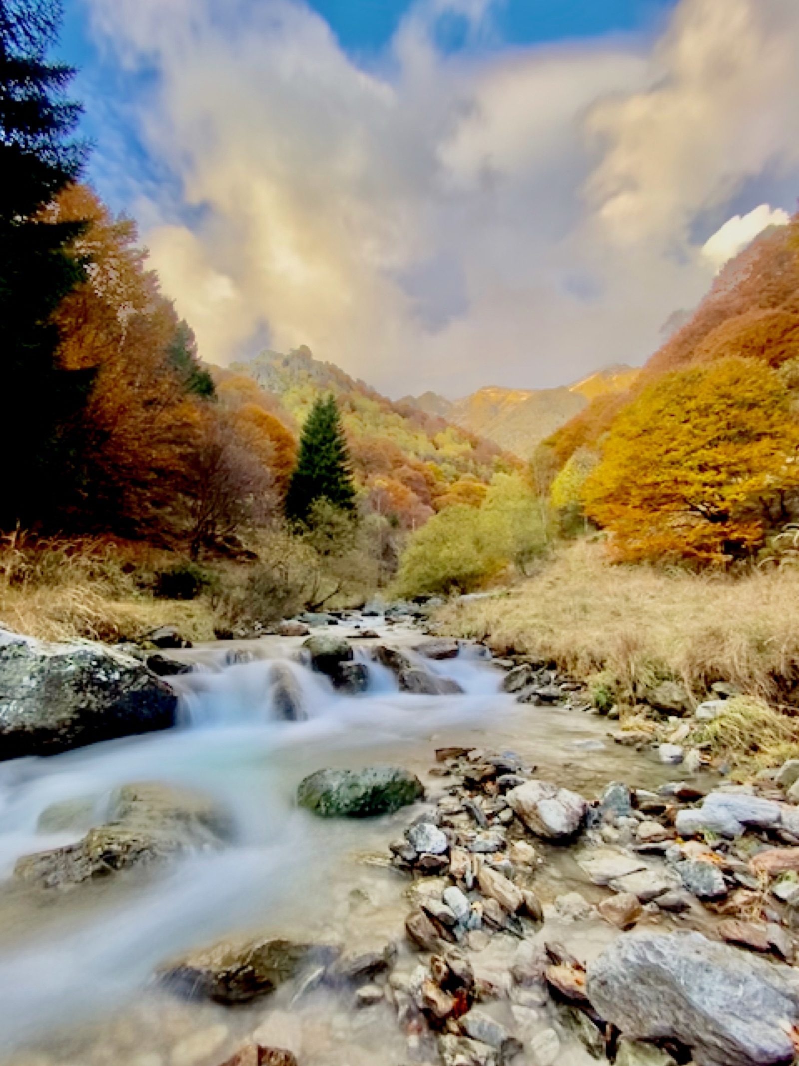 Torrente autunnale in valle