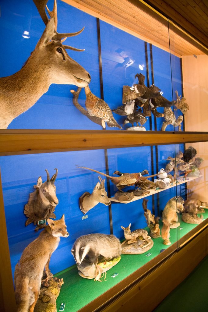 Museo della Valle - museo-valle-gallery-19