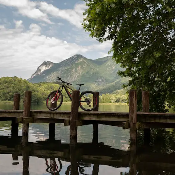 VeryWell bike and more