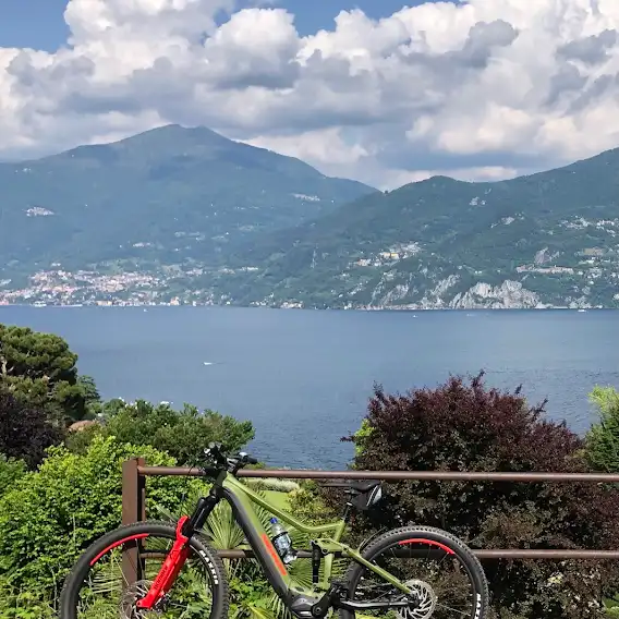 VeryWell bike and more