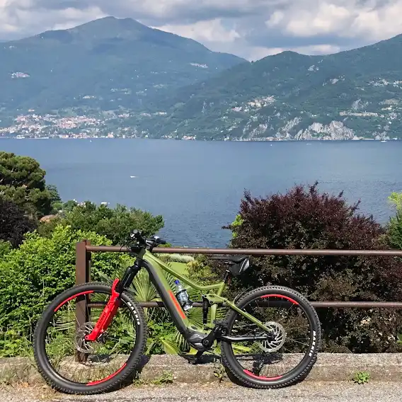 VeryWell bike and more