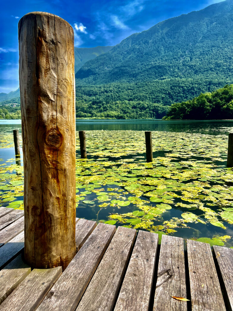 Ninfee al Lago di Piano, Riserva Naturale tra Carlazzo e Bene Lario