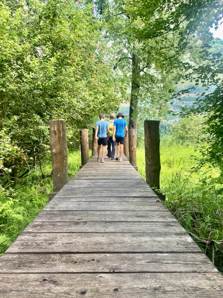 Ninfee al Lago di Piano, Riserva Naturale tra Carlazzo e Bene Lario
