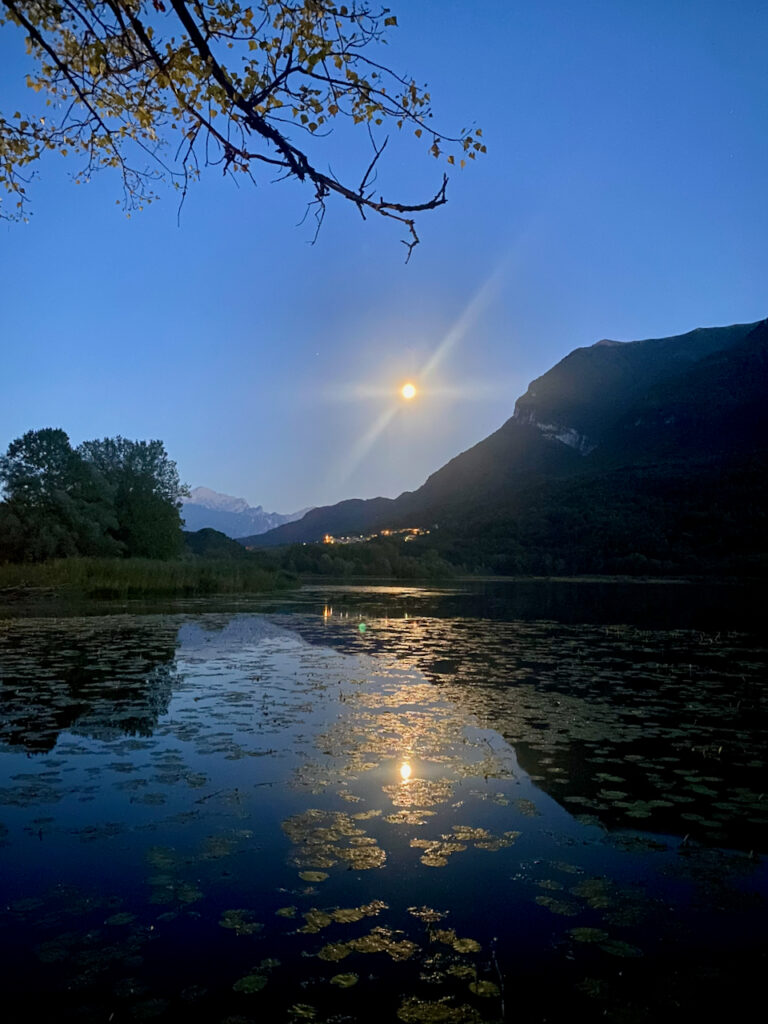 Ninfee al Lago di Piano, Riserva Naturale tra Carlazzo e Bene Lario
