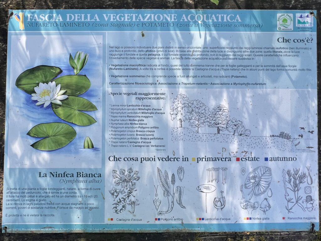 Ninfee al Lago di Piano, Riserva Naturale tra Carlazzo e Bene Lario