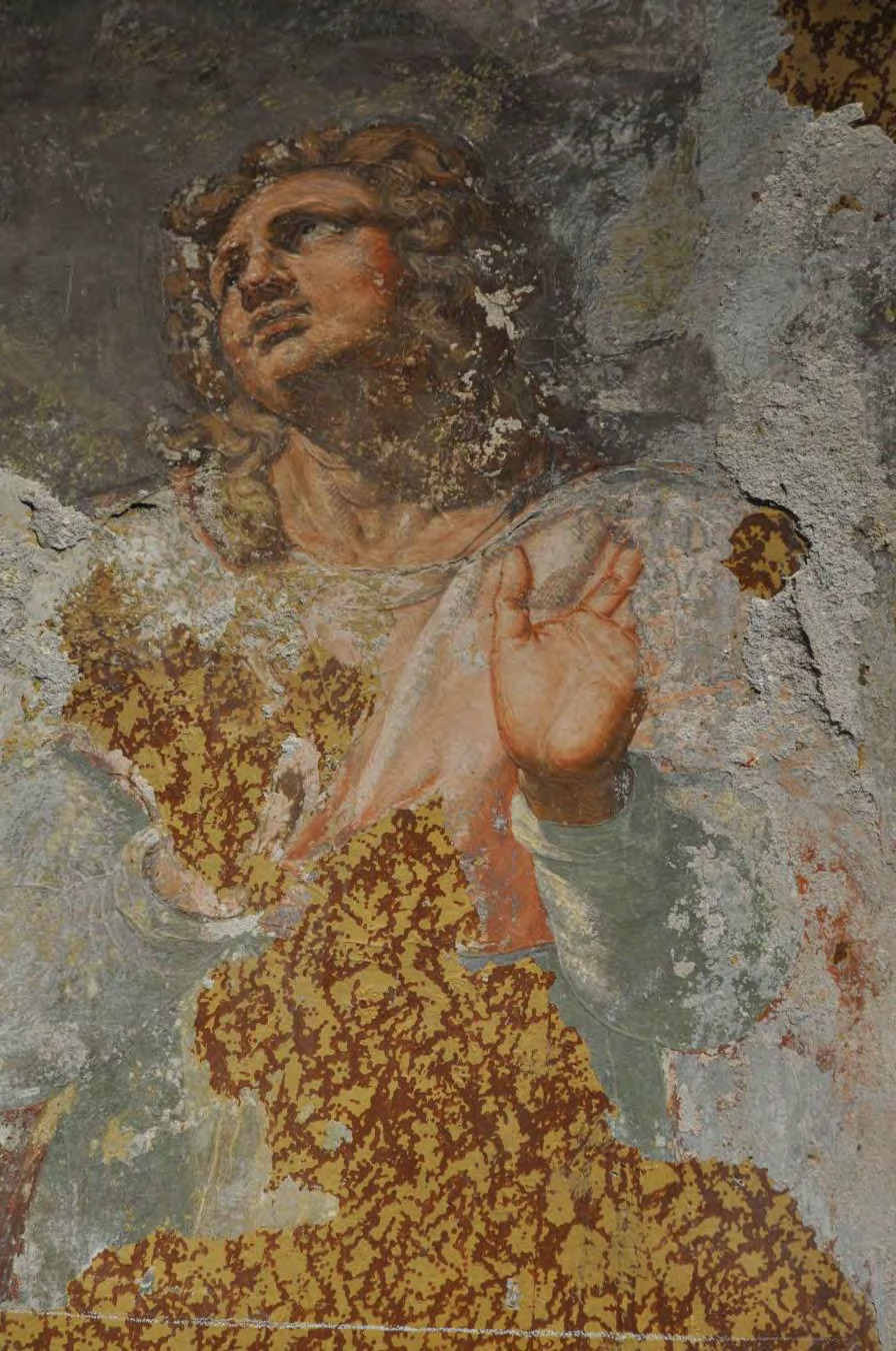 La figura del giovane Giovanni Evangelista con il braccio alzato durante il restauro, riquadro centrale degli affreschi di Tibaldi a Claino