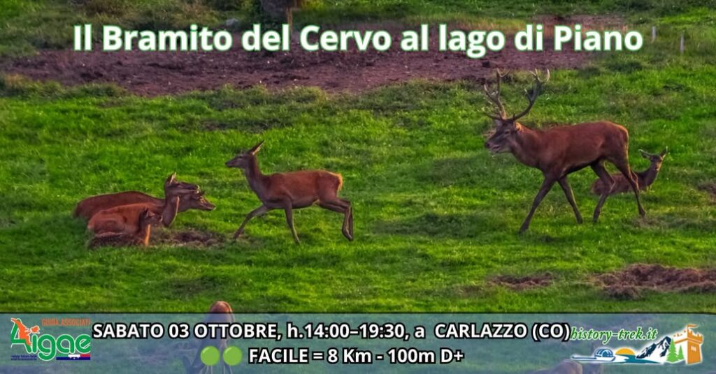 Locandina de Il Bramito del Cervo al Lago di Piano, escursione naturalistica del 3 ottobre 2026 con ritrovo a Carlazzo