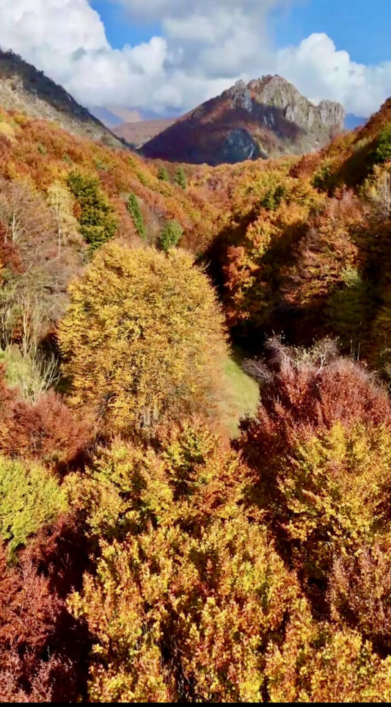 I boschi delle valli del Ceresio accesi dai colori dell'autunno.