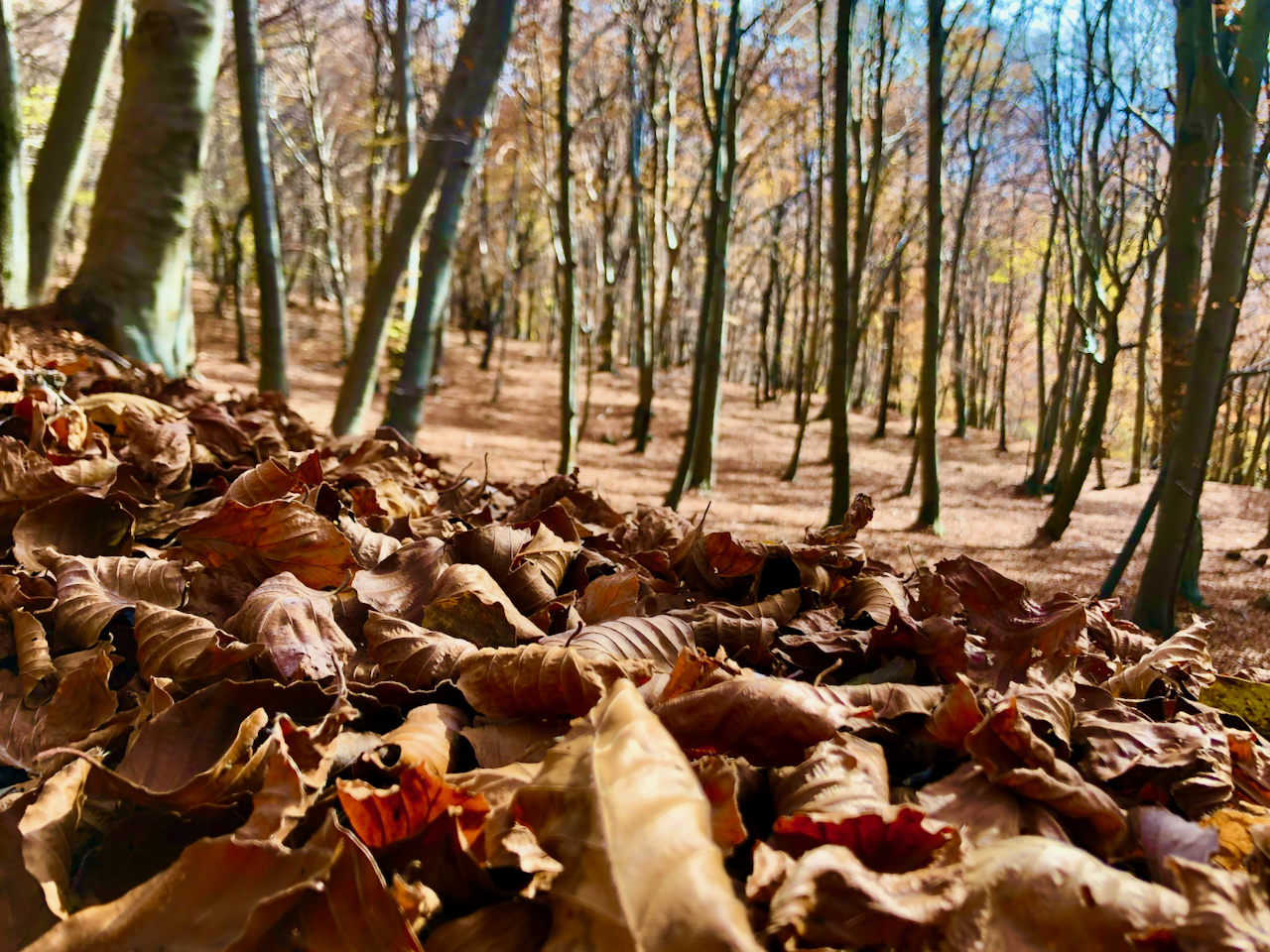 Foliage autunnale nelle valli del Lago Ceresio