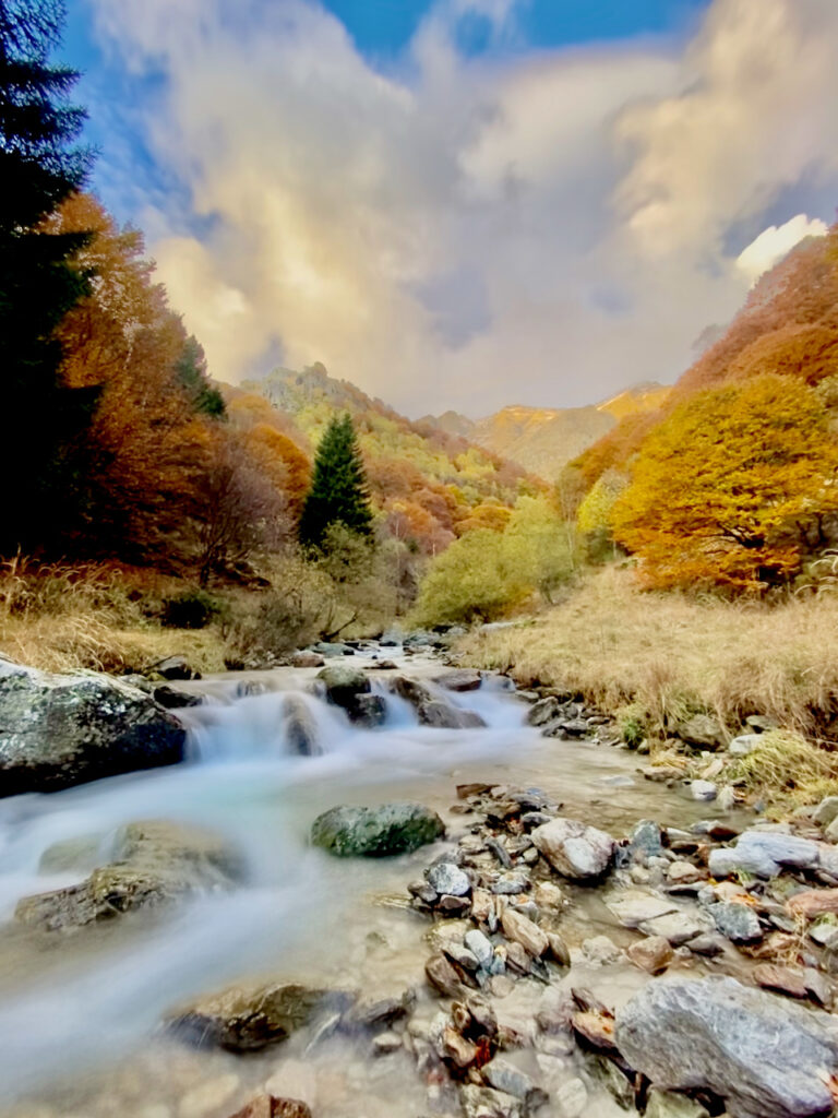 Torrente tra i boschi d'autunno nelle valli del Ceresio